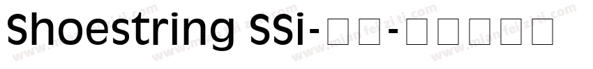 Shoestring SSi-常规字体转换